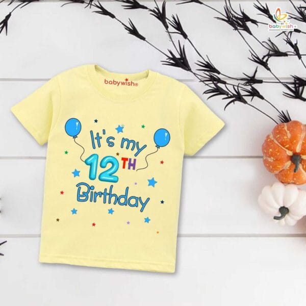 Twelve Year Birthday Unisex T-Shirt Half Sleeve Round Neck Topwear tee for kids - Image 4