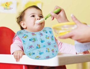 Bibs for Baby, 3-Layers Waterproof Baby Bib Food Catcher with Pocket Bibs
