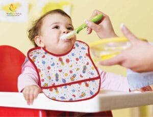 Bibs for Baby, 3-Layers Waterproof Baby Bib Food Catcher with Pocket Bibs