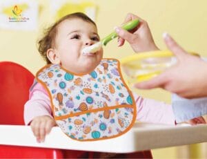 Bibs for Baby, 3-Layers Waterproof Baby Bib Food Catcher with Pocket Bibs