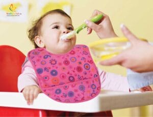 Bibs for Baby, 3-Layers Waterproof Baby Bib Food Catcher with Pocket Bibs