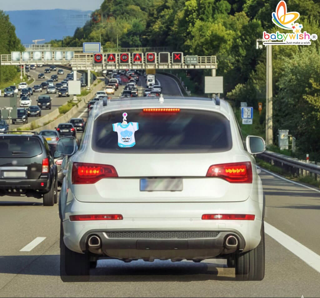 baby on board hanger for car